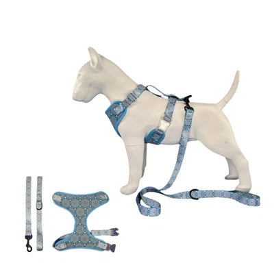 Ham pentru caine pentru plimbare