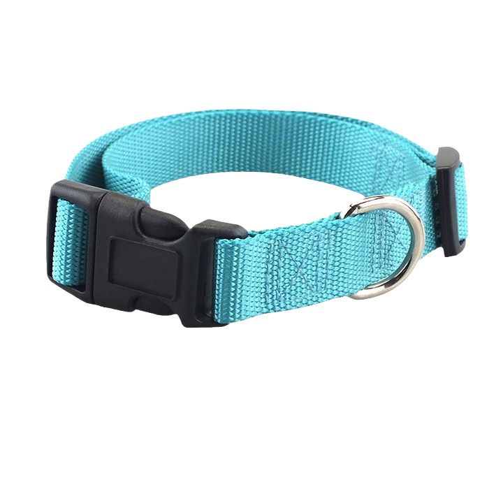 Gulerele personalizate pentru câini