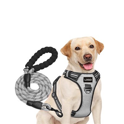 Set personalizat de ham și lesă pentru câini