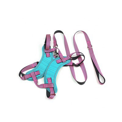 Set de ham și lesă pentru câini fără tragere