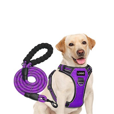 Set de ham pentru câini și frânghie cu logo personalizat